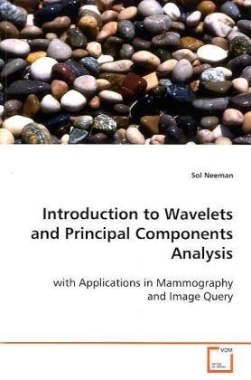Introduction to Wavelets and Principal Components  Analysis