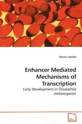 Enhancer Mediated Mechanisms of Transcription