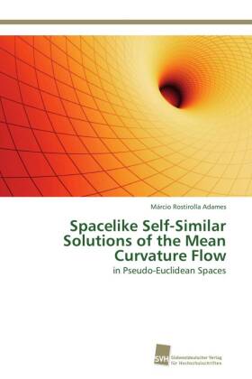 Spacelike Self-Similar Solutions of the Mean Curvature Flow