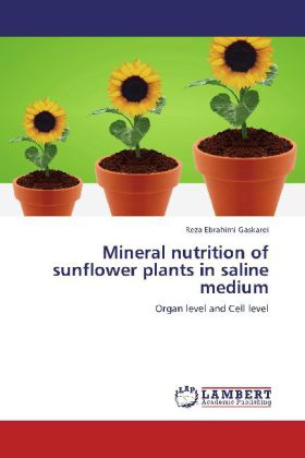 Mineral nutrition of sunflower plants in saline medium