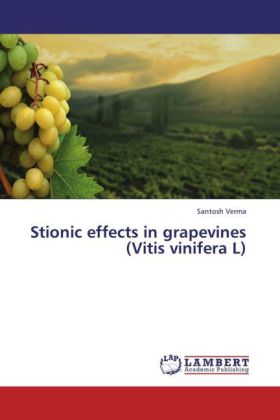 Stionic effects in grapevines (Vitis vinifera L)