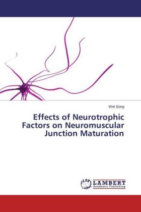 Effects of Neurotrophic Factors on Neuromuscular Junction Maturation