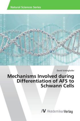 Mechanisms Involved during Differentiation of AFS to Schwann Cells