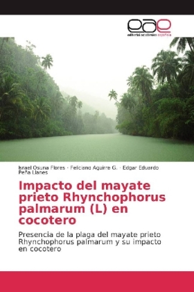 Impacto del mayate prieto Rhynchophorus palmarum (L) en cocotero