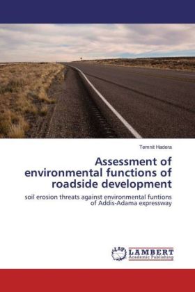 Assessment of environmental functions of roadside development