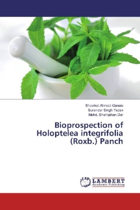 Bioprospection of Holoptelea integrifolia (Roxb.) Panch