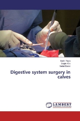 Digestive system surgery in calves