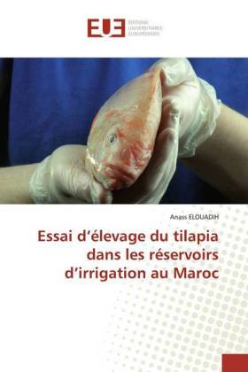 Essai d'élevage du tilapia dans les réservoirs d'irrigation au Maroc