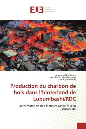 Production du charbon de bois dans l'hinterland de Lubumbashi/RDC